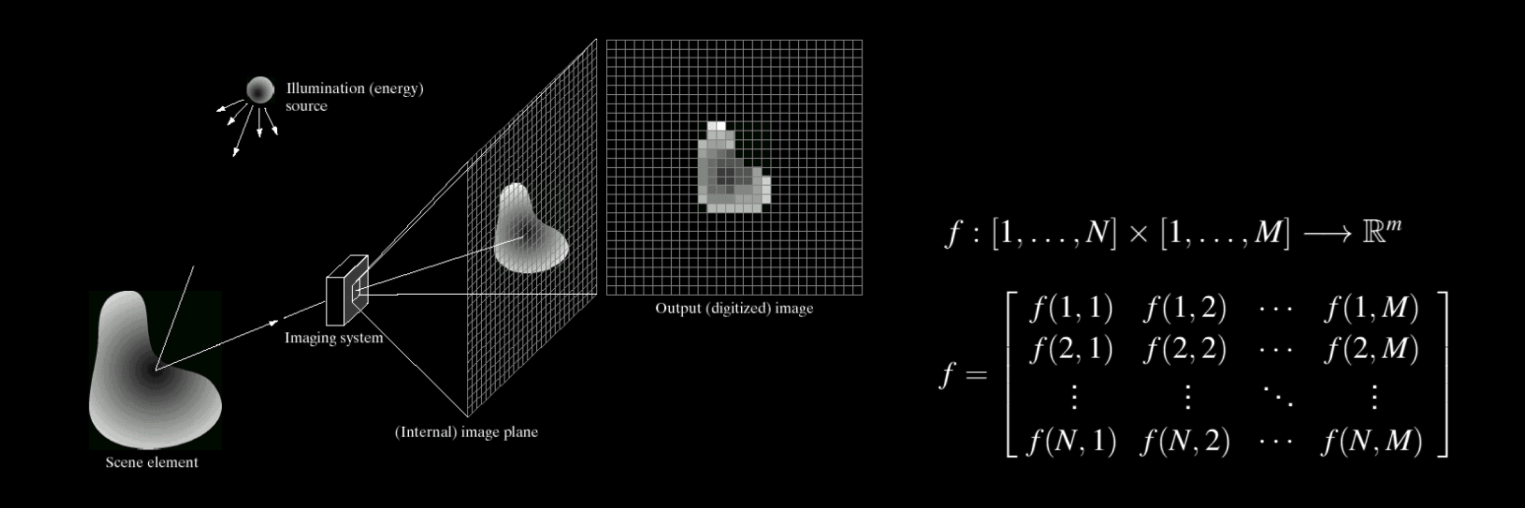 Spatial coordinates represented within a matrix